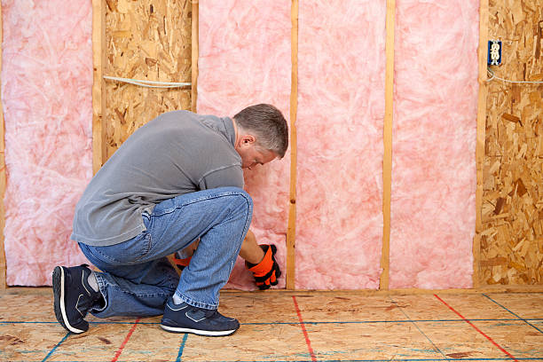 Best Insulation Replacement Services  in Lake Geneva, WI