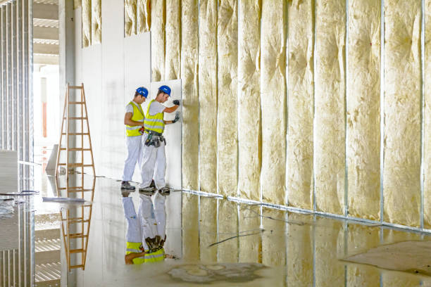 Best Insulation Repair Services  in Lake Geneva, WI